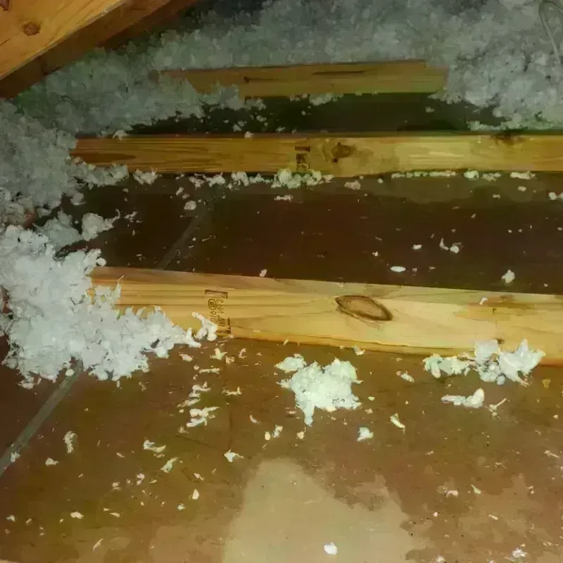 Attic Water Damage in Delavan Lake, WI